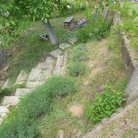 Miris Lavande Holiday home *