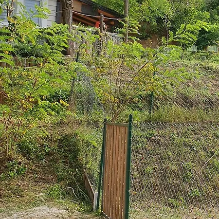 Holiday home Miris Lavande Sremska Kamenica