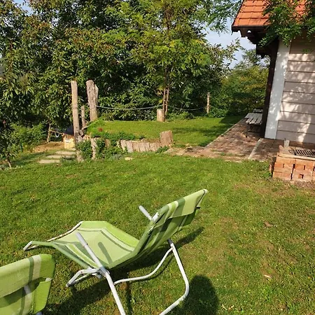 Miris Lavande Sremska Kamenica