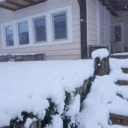 Miris Lavande Sremska Kamenica