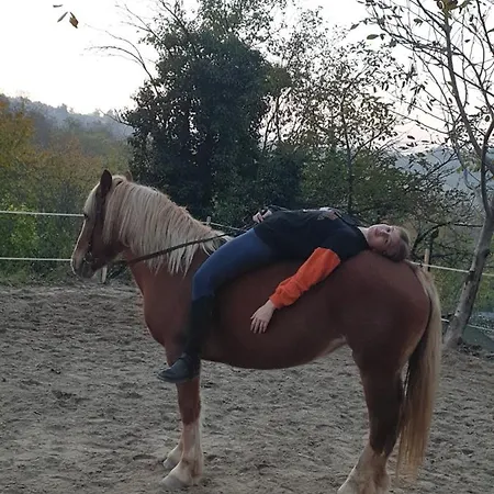 Holiday home Miris Lavande