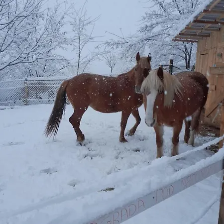Miris Lavande Sremska Kamenica