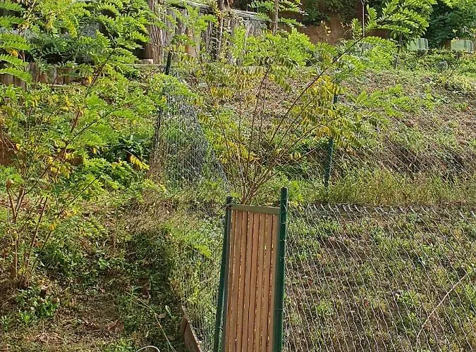 Vakantiehuis Miris Lavande Sremska Kamenica