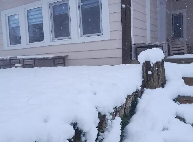 Miris Lavande Sremska Kamenica