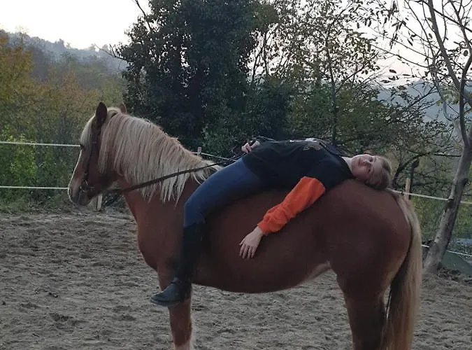 Vakantiehuis Miris Lavande